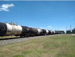 NS 351